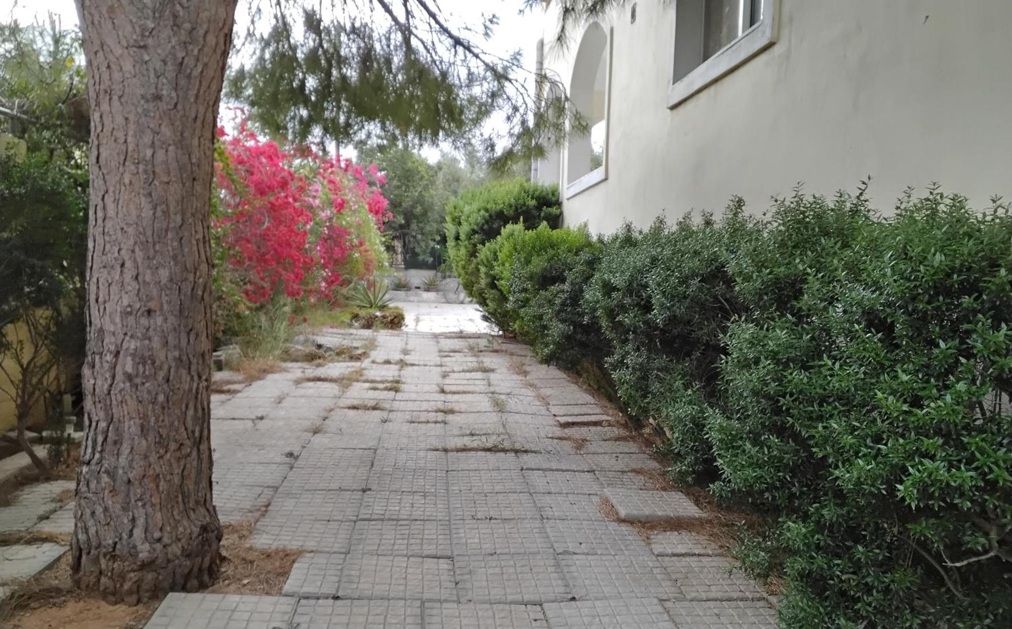 Apartamento Peaceful Oasis Atenas Exterior foto